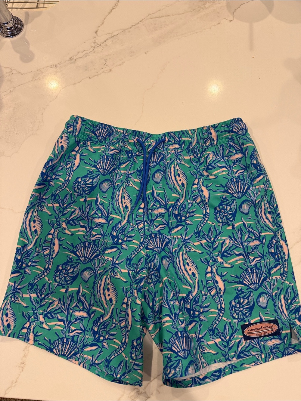 Vineyard Vines Boys Green & Blue Seahorse Print Swim Trunks